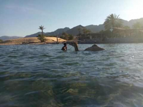 Sebaii Camp السباعى كامب شاطئ الترابين بجوار ويت بالس